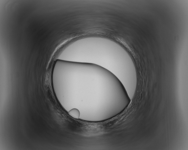 X0000085050583200703051047