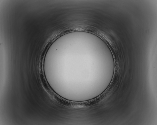 X0000085050586200703051047