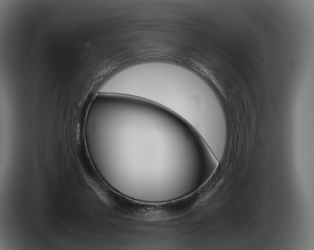 X0000085050589200703051047