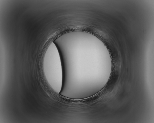 X0000085050591200703051047