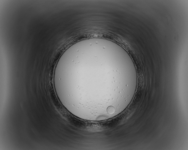 X0000085050594200703051046