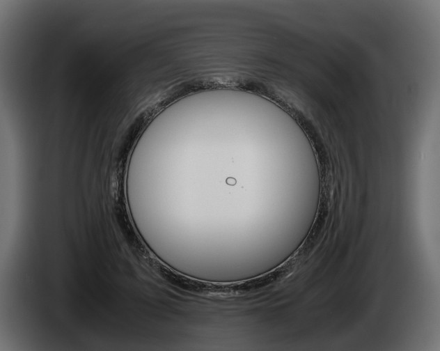X0000085050595200703051046