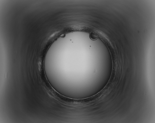 X0000085050596200703051046