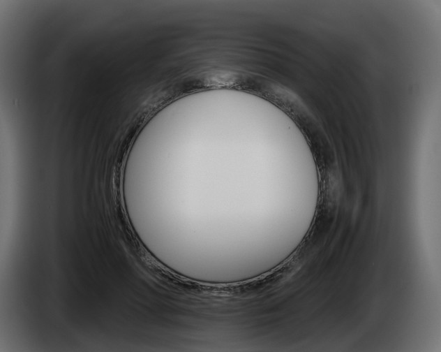 X0000085050598200703051046