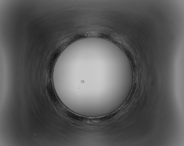 X0000085050599200703051046