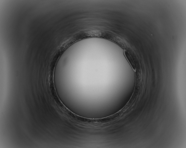 X0000085050600200703051046