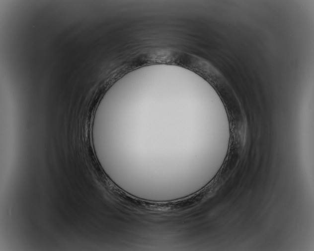 X0000085050602200703051046
