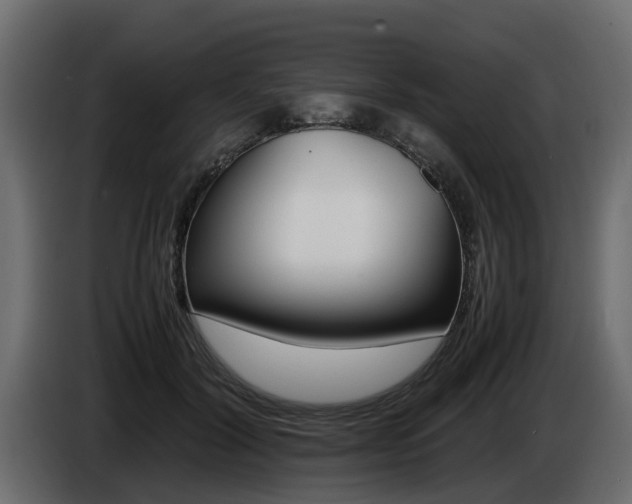 X0000085050604200703051046
