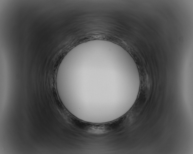 X0000085050606200703051046