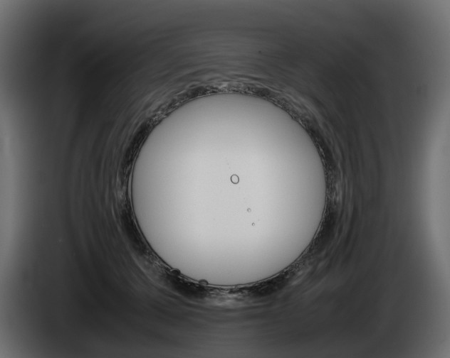 X0000085050607200703051046