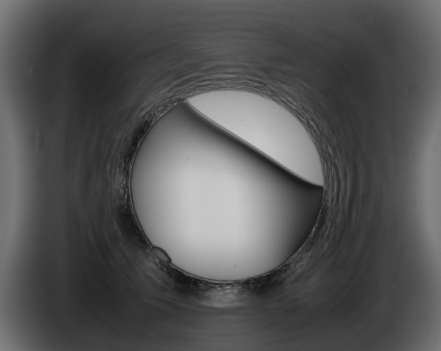 X0000085050609200703051046