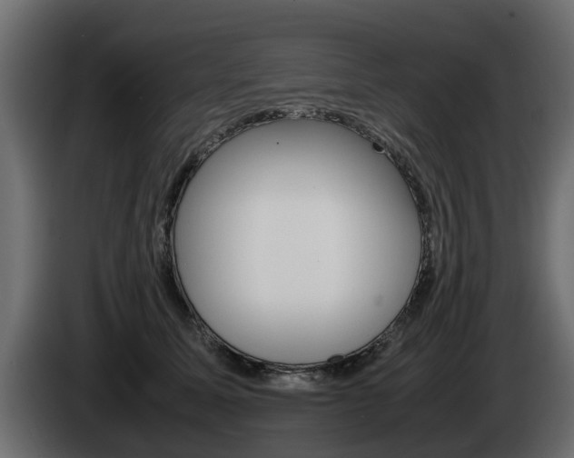 X0000085050611200703051046