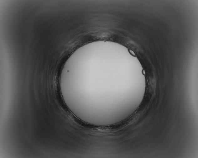 X0000085050612200703051046
