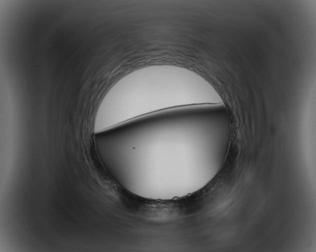 X0000085050615200703051046