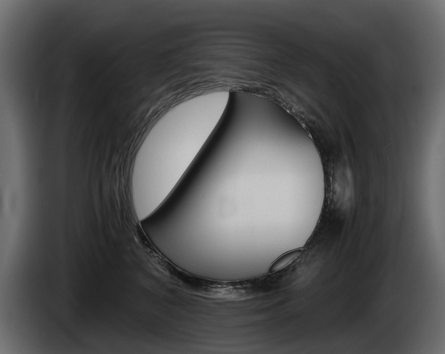 X0000085050616200703051046