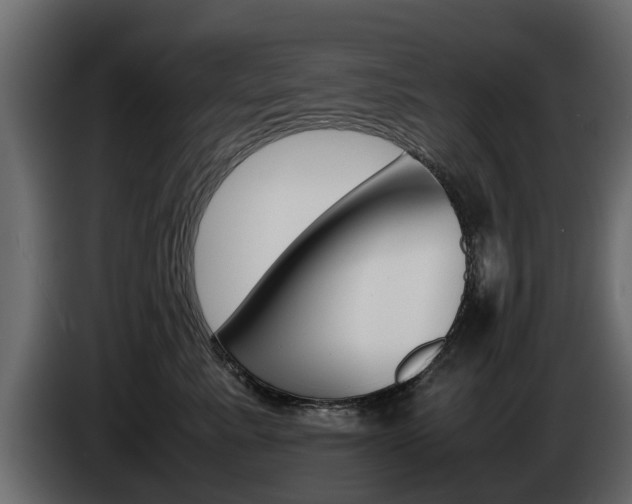 X0000085050619200703051046