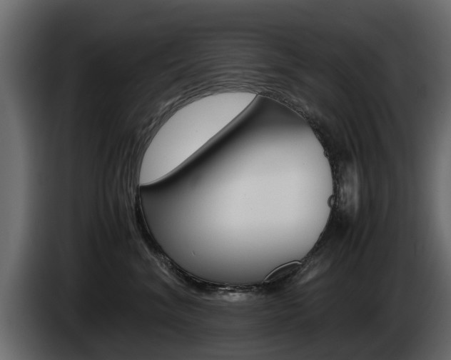 X0000085050620200703051046