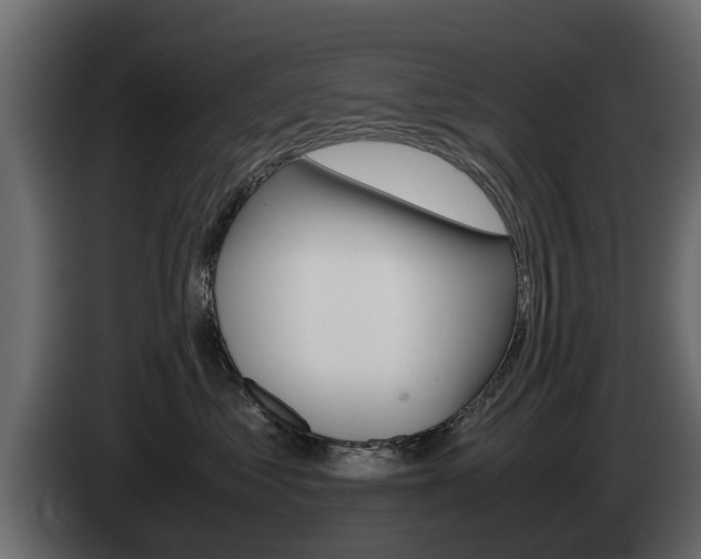 X0000085050621200703051046