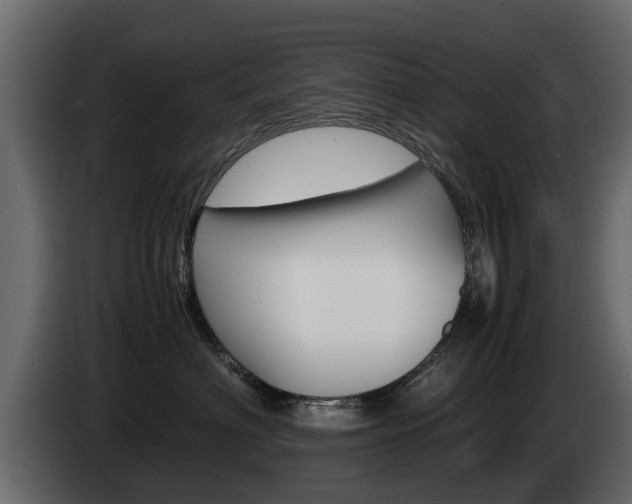 X0000085050622200703051046
