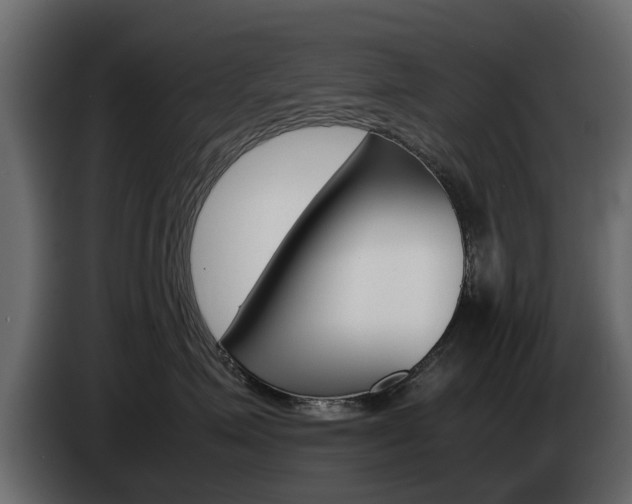 X0000085050623200703051046