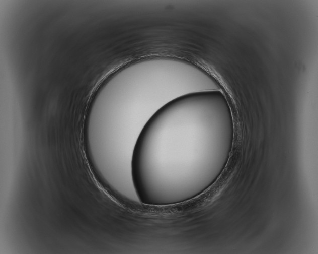 X0000085050625200703051046