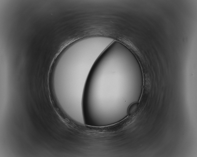 X0000085050626200703051046