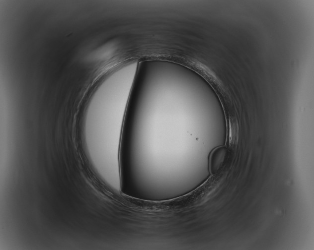 X0000085050627200703051046