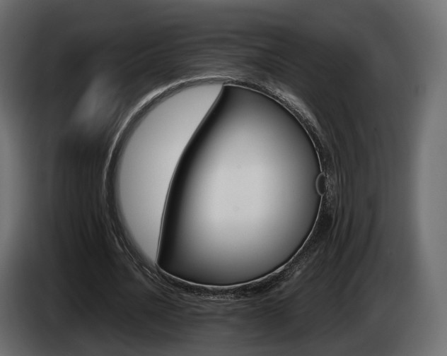 X0000085050628200703051046