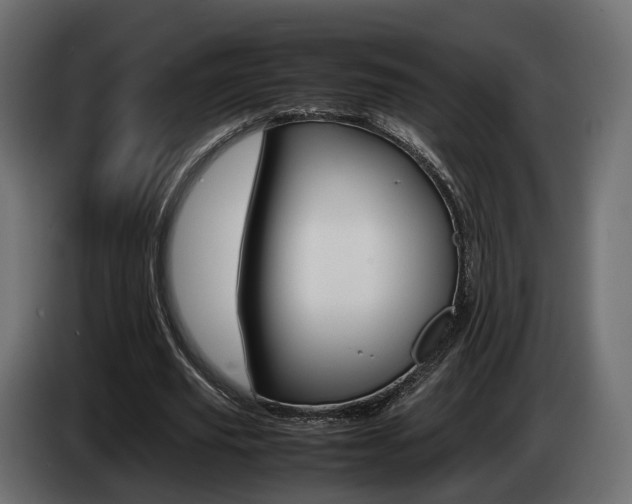 X0000085050629200703051046