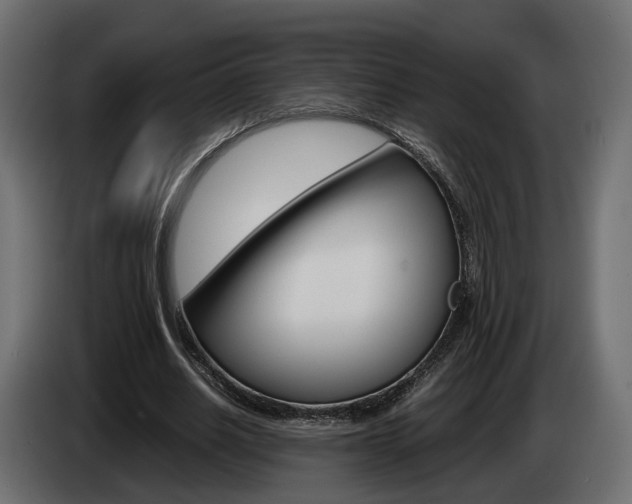 X0000085050630200703051046