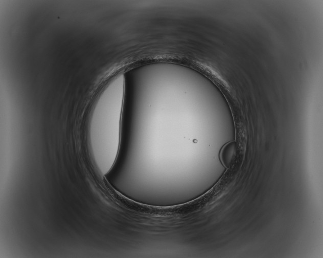 X0000085050631200703051046