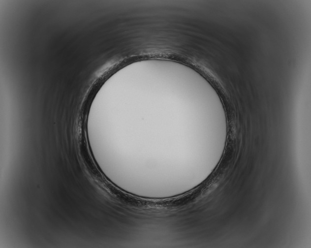 X0000085050632200703051046