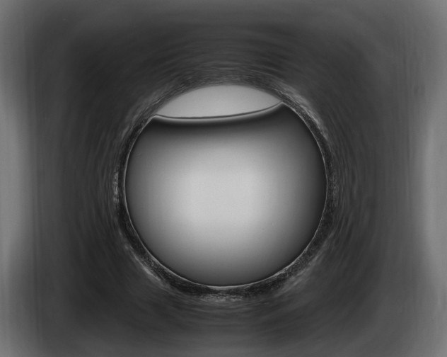 X0000085050633200703051046