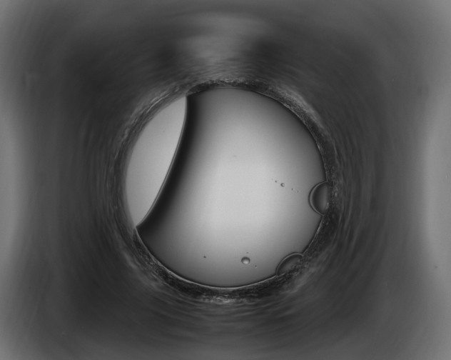 X0000085050635200703051046