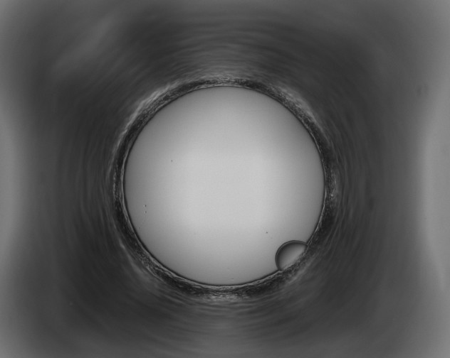 X0000085050636200703051046