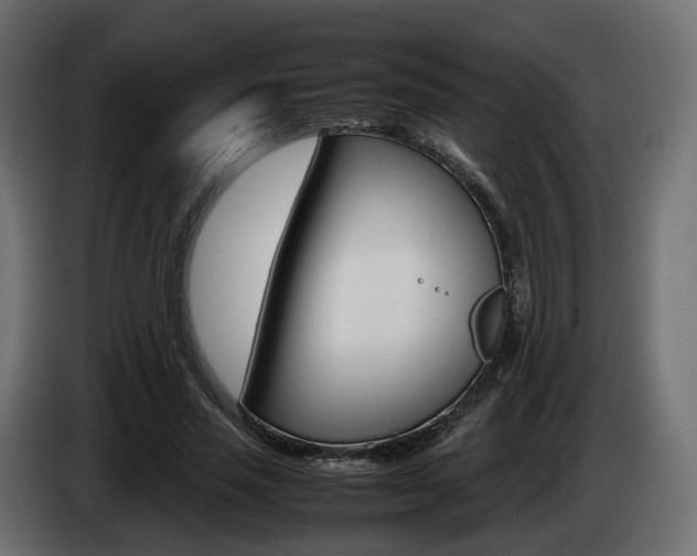 X0000085050637200703051046