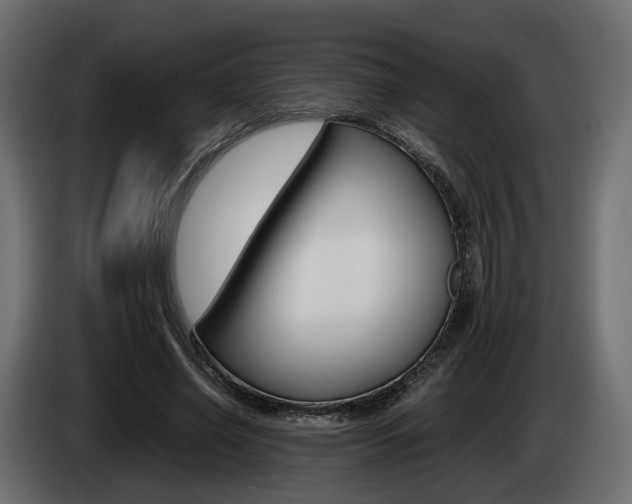 X0000085050638200703051046
