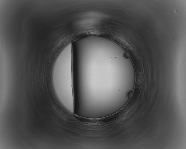 X0000085050639200703051046