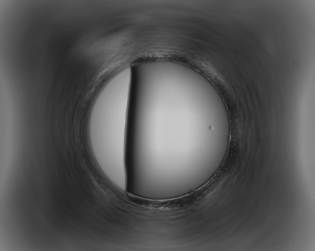 X0000085050640200703051046