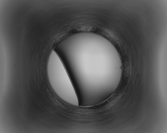 X0000085050641200703051046