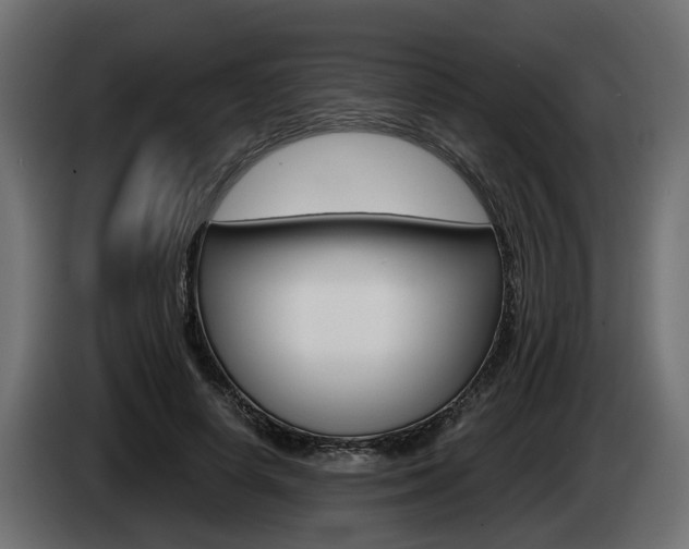X0000085050642200703051046
