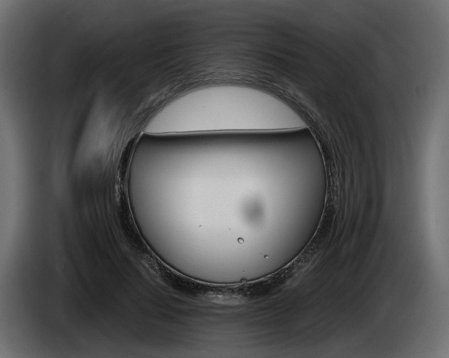 X0000085050644200703051046