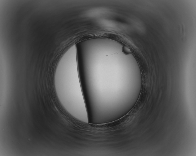 X0000085050645200703051046