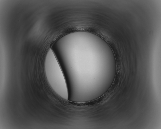 X0000085050646200703051046