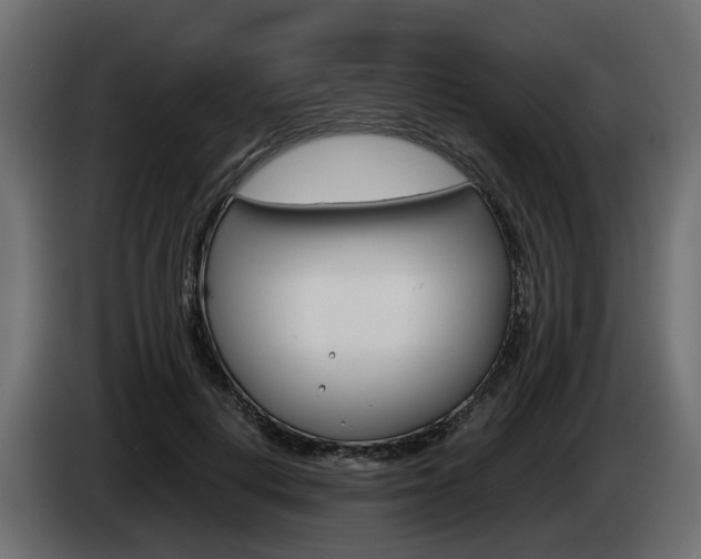 X0000085050648200703051046