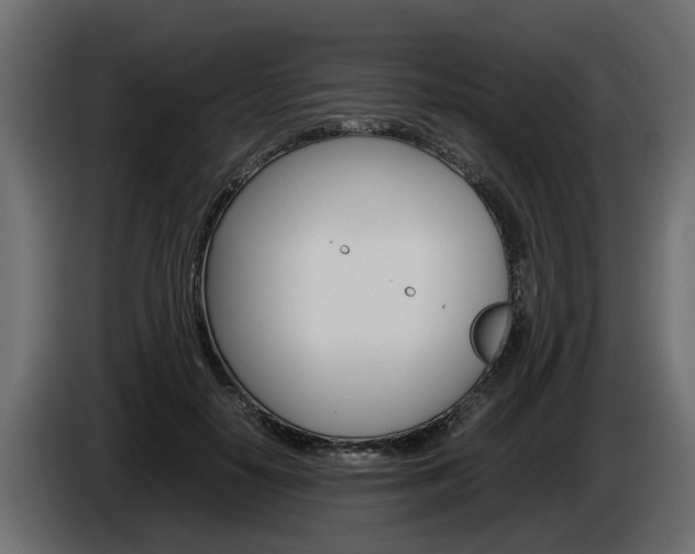 X0000085050650200703051046