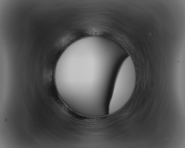 X0000085050652200703051046