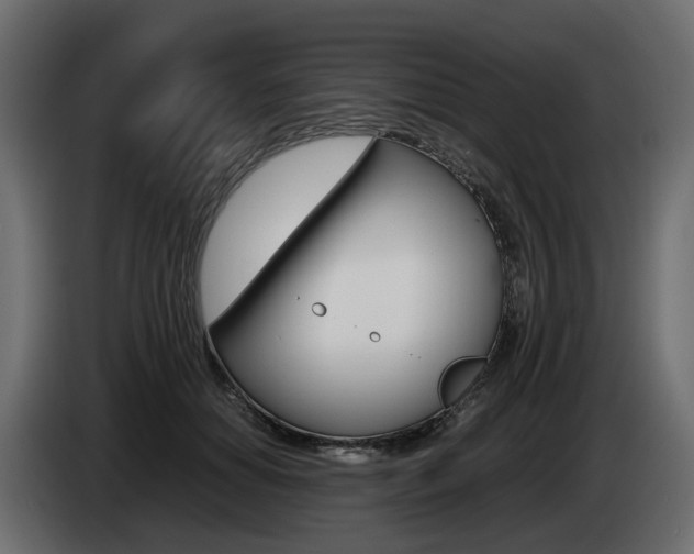 X0000085050654200703051046