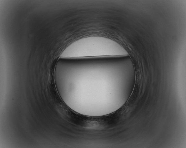 X0000085050655200703051046