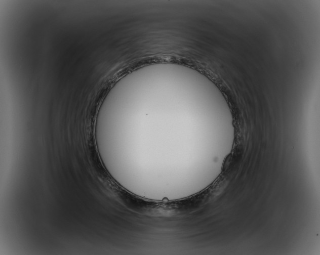 X0000085050656200703051046